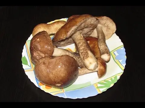 How to fry obabki mushrooms: how much to cook, recipes