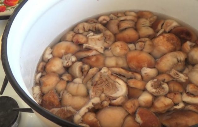 How to fry valui mushrooms: recipes with photos