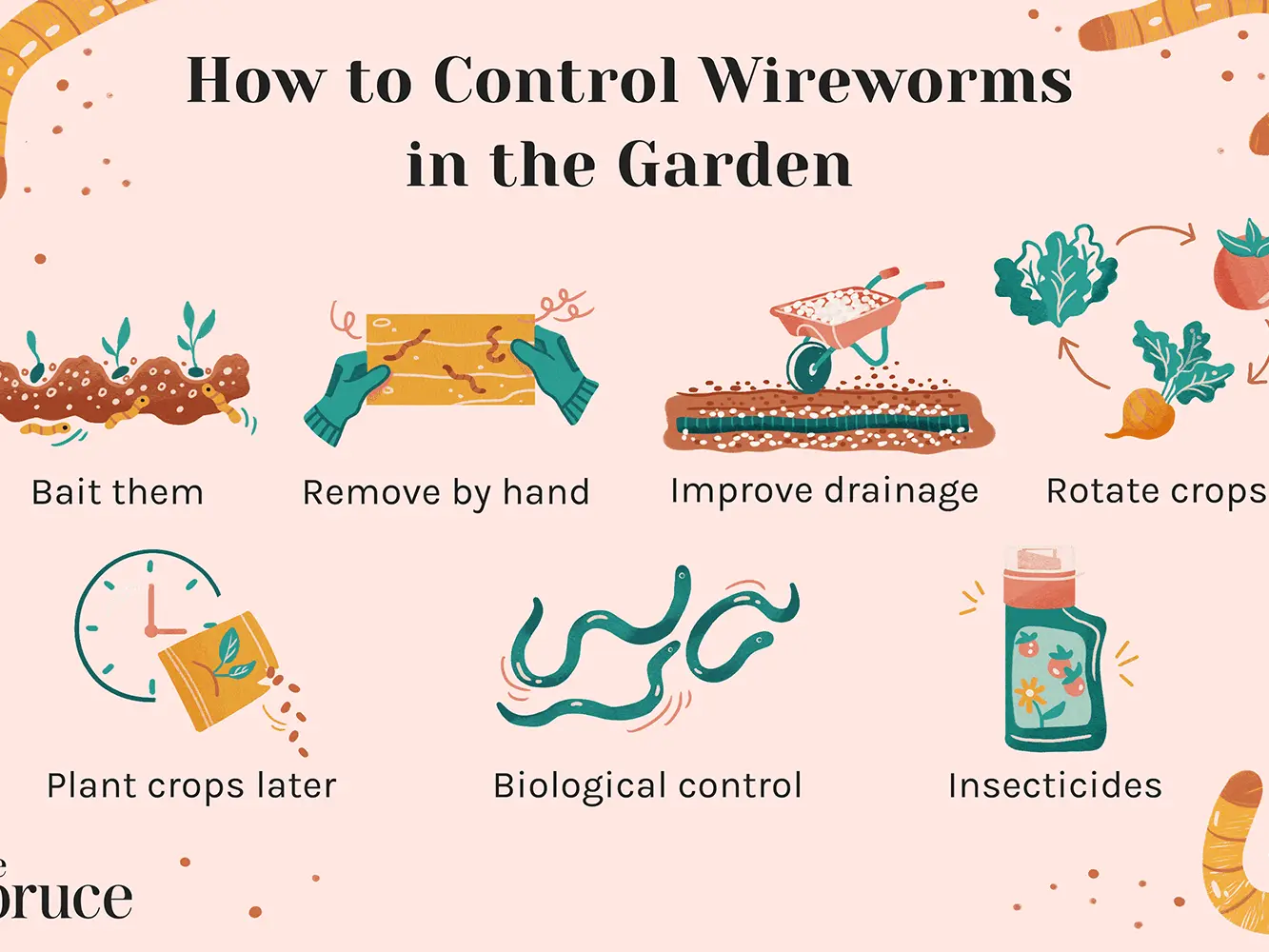 How to get rid of a wireworm