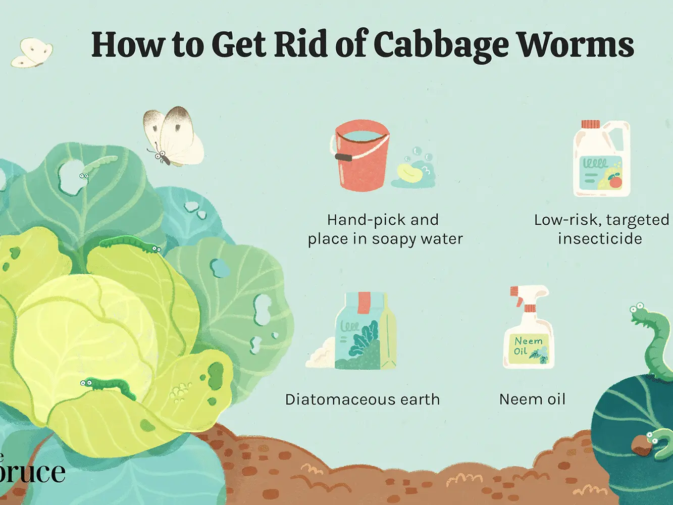 How to get rid of caterpillars on cabbage: effective ways