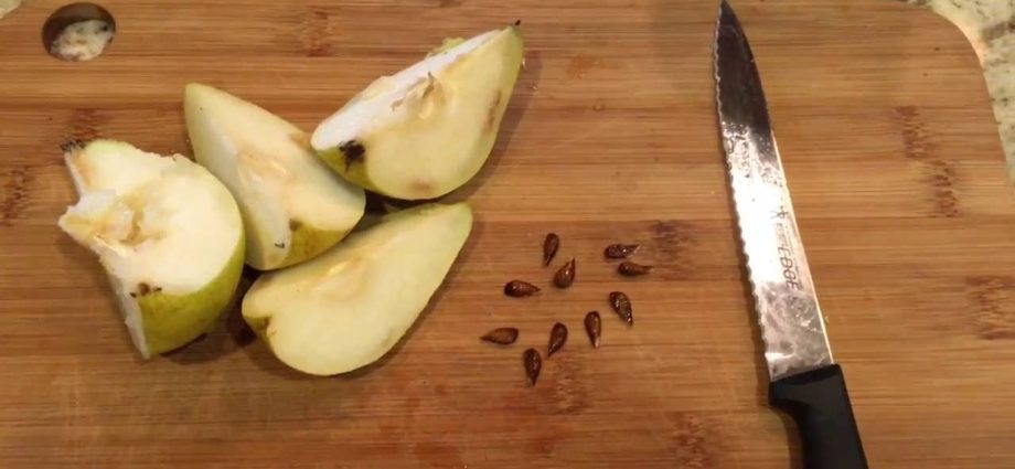 How to grow a pear from a seed at home