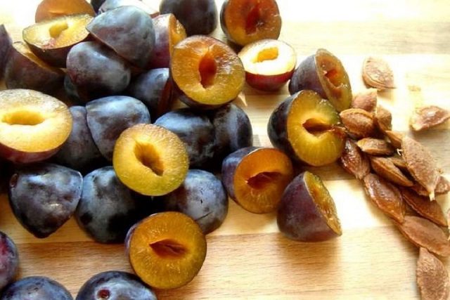 How to grow a plum from a seed