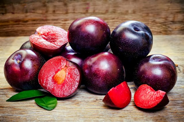 How to grow a plum from a seed