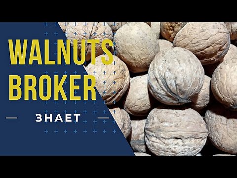 How to grow a walnut