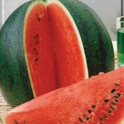 How to grow a watermelon in a greenhouse: formation scheme, pinching, care