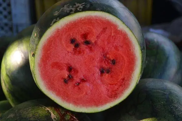 How to grow a watermelon in a greenhouse: formation scheme, pinching, care