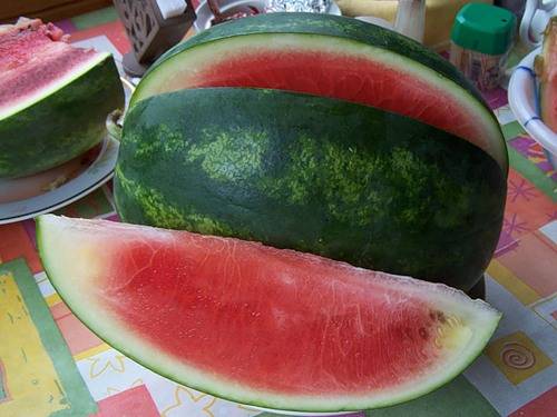 How to grow a watermelon in a greenhouse: formation scheme, pinching, care