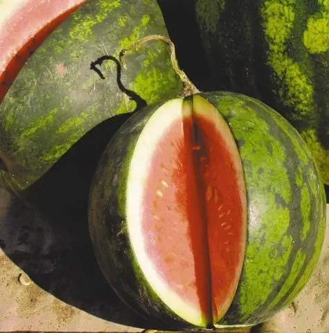 How to grow a watermelon in a greenhouse: formation scheme, pinching, care