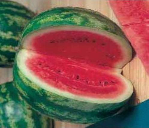 How to grow a watermelon in a greenhouse: formation scheme, pinching, care