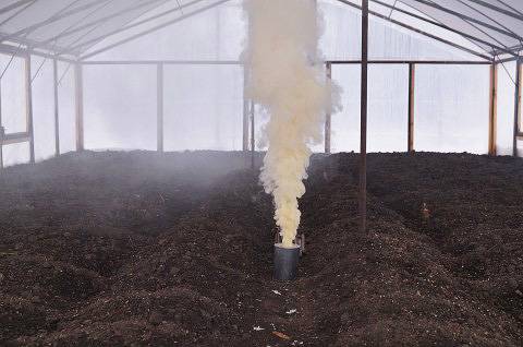 How to Grow Cucumbers in a Greenhouse: A Beginner&#8217;s Guide