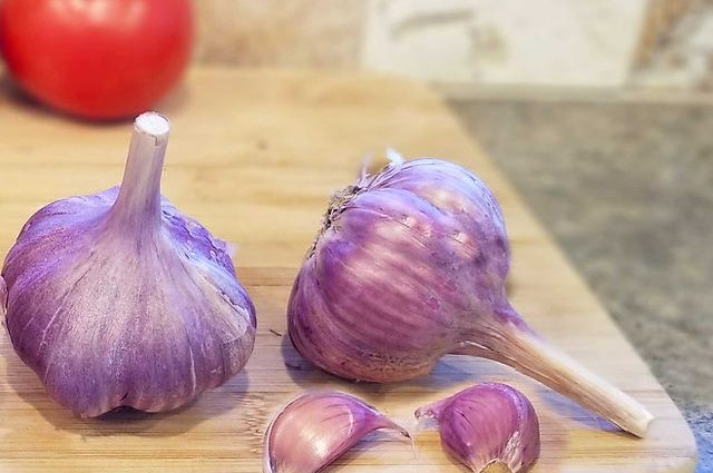 How to grow large garlic: the secrets of growing