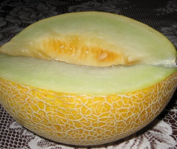 How to grow melon at home