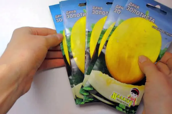 How to grow melons in the middle lane and which varieties to choose