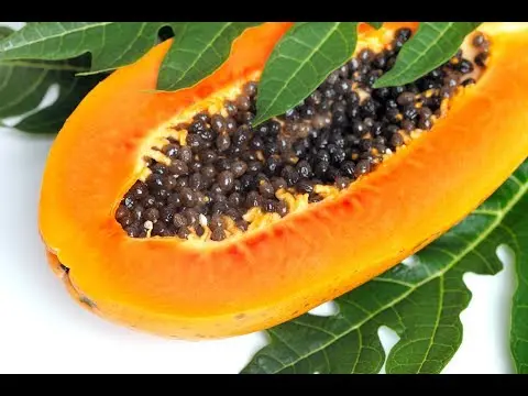 How to grow papaya from seeds