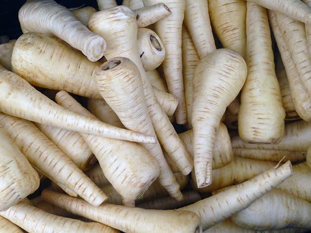 How to grow parsnips from seeds through seedlings and direct sowing in open ground