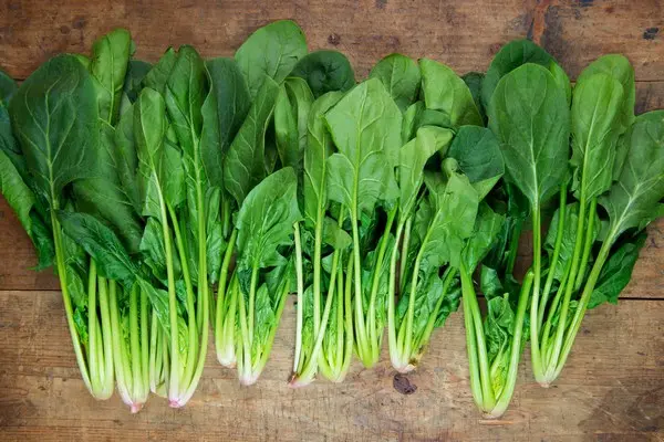 How to grow spinach in the open field and greenhouse