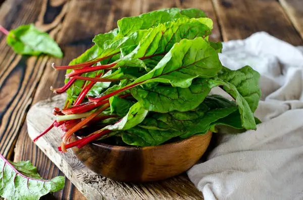 How to grow spinach in the open field and greenhouse