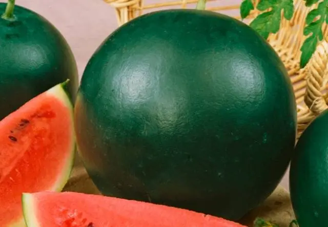 How to grow watermelon Spark in Siberia, Moscow region