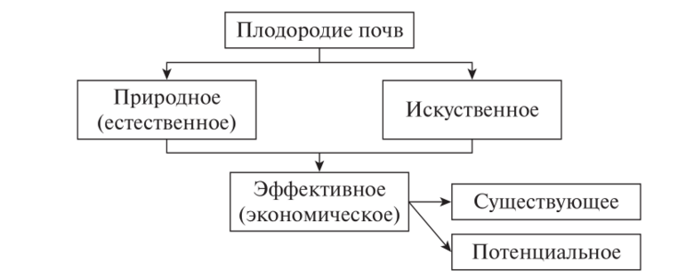 How to improve soil fertility on the site: fertilizer methods and ways to improve soil composition + classification