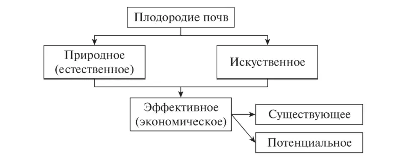 How to improve soil fertility on the site: fertilizer methods and ways to improve soil composition + classification