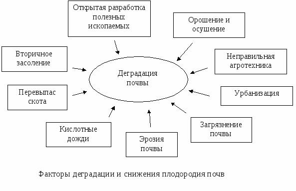 How to improve soil fertility on the site: fertilizer methods and ways to improve soil composition + classification