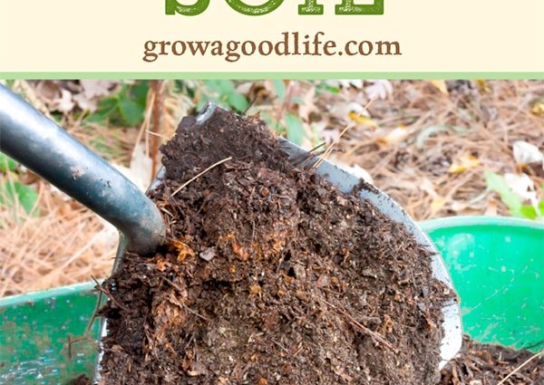 How to improve the soil in the garden: effective ways