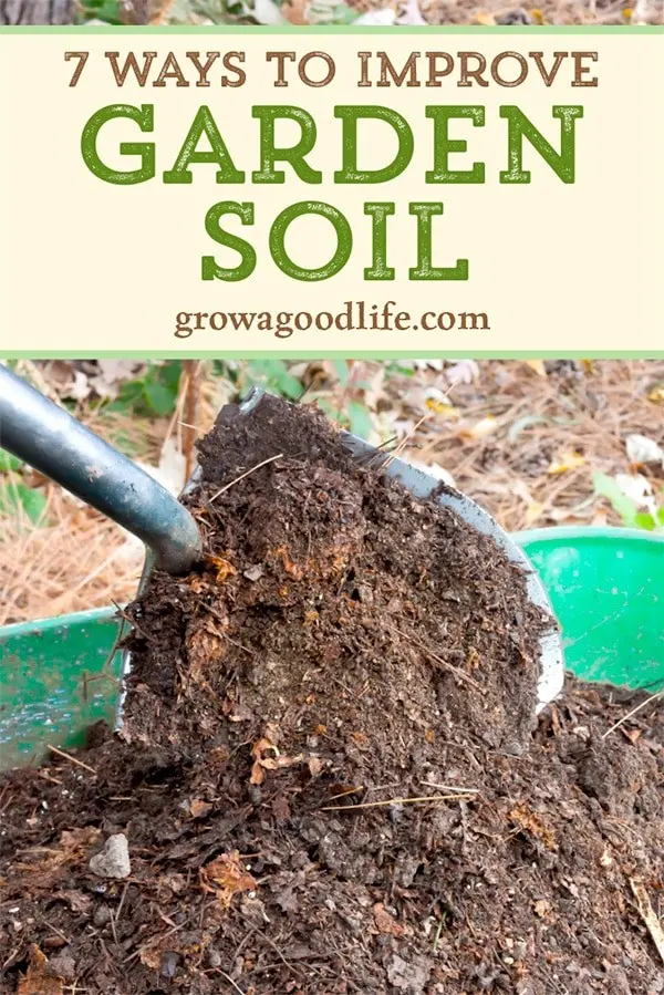 How to improve the soil in the garden: effective ways