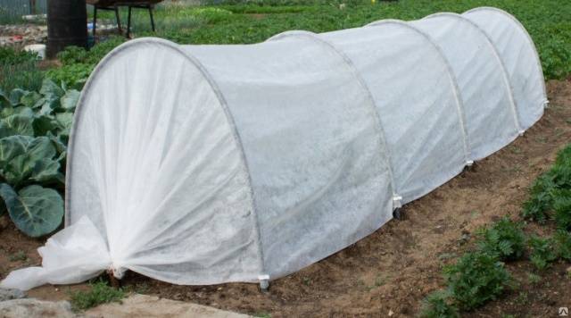 How to install a snowdrop greenhouse + video