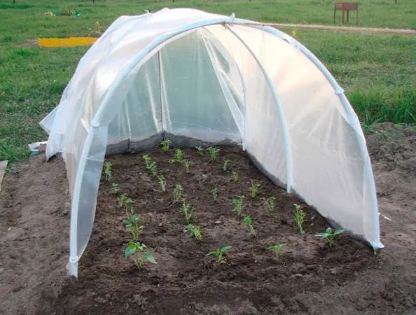 How to install a snowdrop greenhouse + video