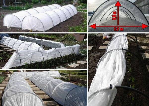 How to install a snowdrop greenhouse + video