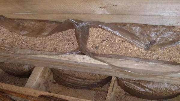 How to insulate a barn for the winter 