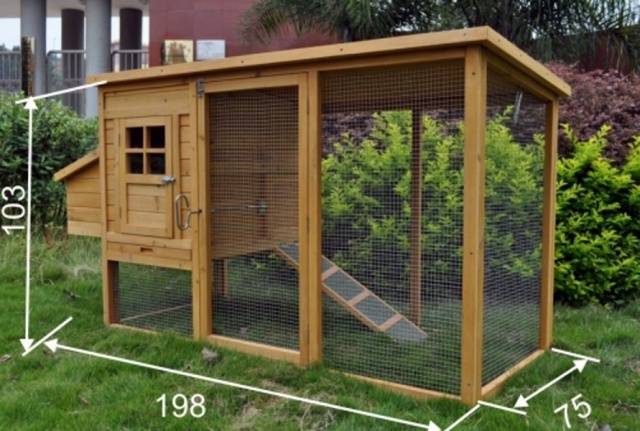 How to insulate a chicken shed for the winter