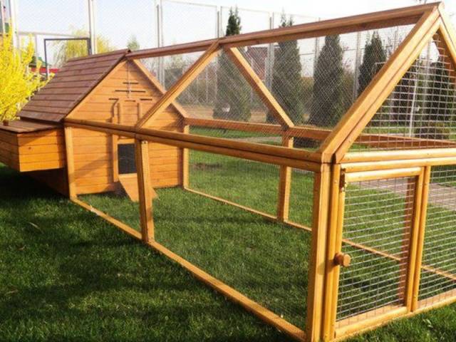 How to insulate a chicken shed for the winter