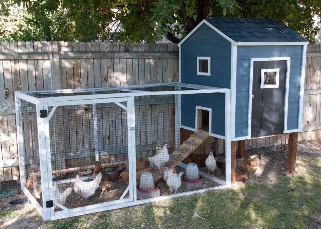 How to insulate the floor in a chicken coop