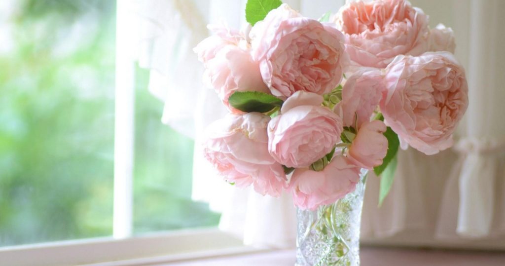 How to keep cut roses in a vase beautiful for a long time?