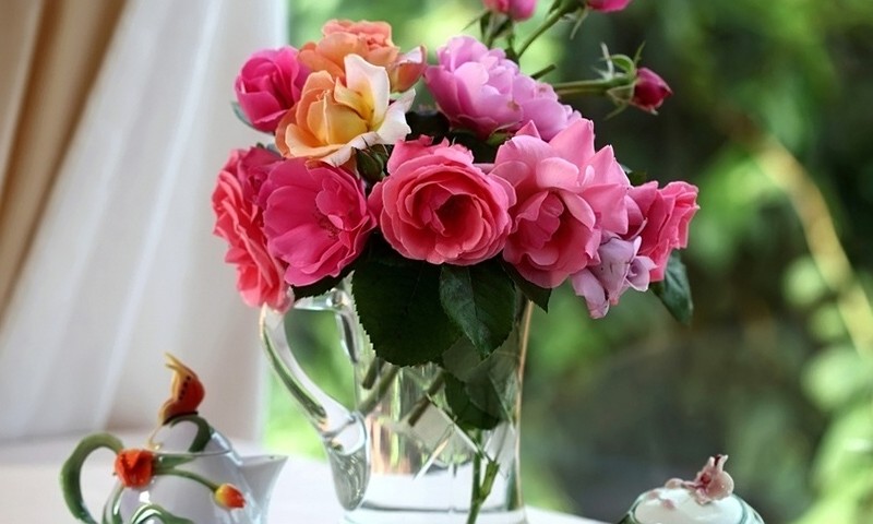 How to keep cut roses in a vase beautiful for a long time?