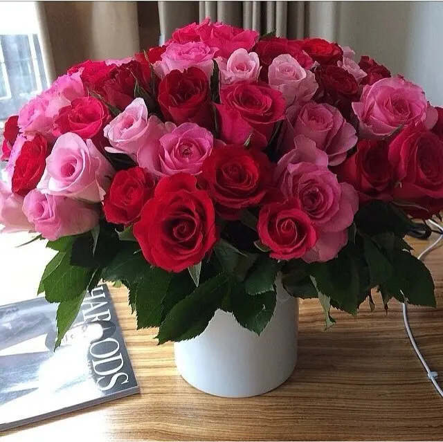 How to keep cut roses in a vase beautiful for a long time?