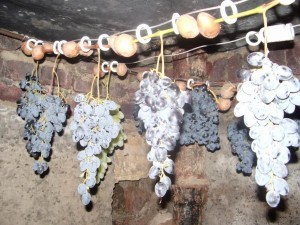 How to keep grapes for a long time: rules