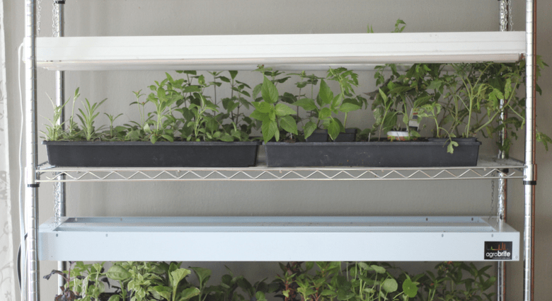 How to make a backlit seedling rack