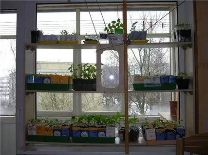 How to make a backlit seedling rack