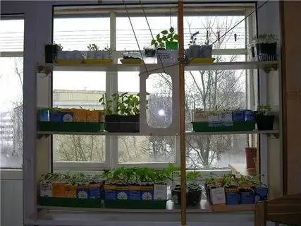 How to make a backlit seedling rack