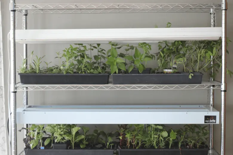 How to make a backlit seedling rack