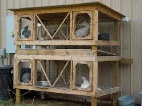 How to make a bunk cage for rabbits + drawing