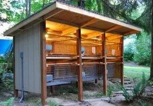 How to make a bunk cage for rabbits + drawing