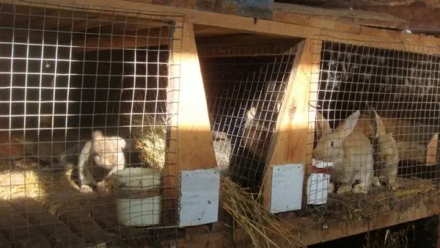 How to make a cage for rabbits