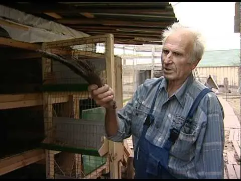 How to make a cage for rabbits