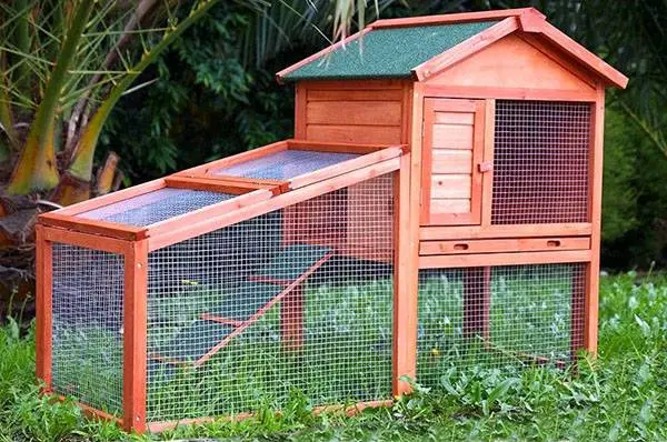 How to make a cage for rabbits