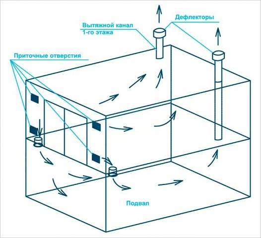 How to make a cellar in the garage 