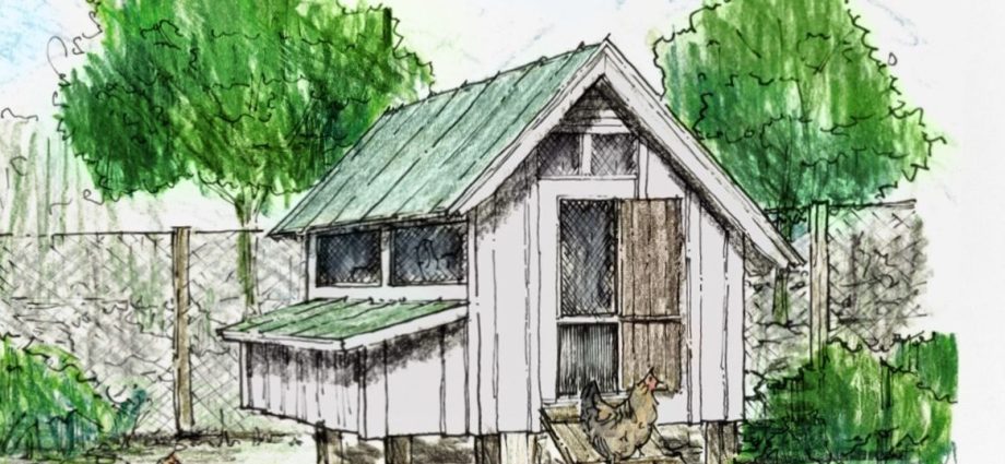 How to make a chicken coop for broilers with your own hands + photos, drawings 