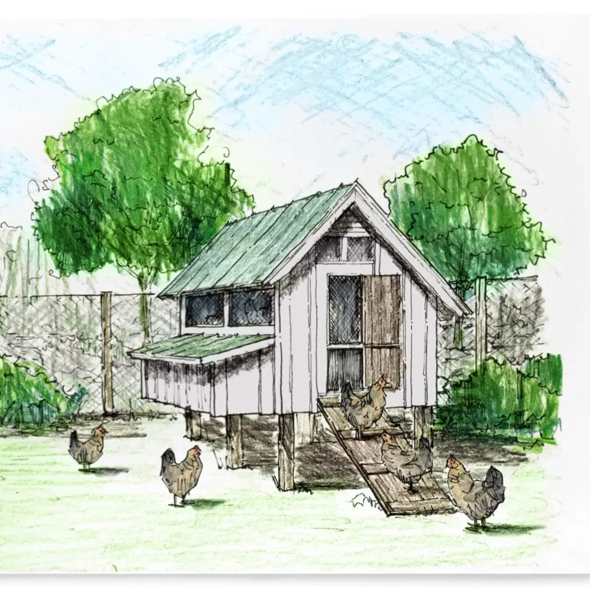 How to make a chicken coop for broilers with your own hands + photos, drawings 